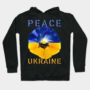 Peace Ukraine Hoodie